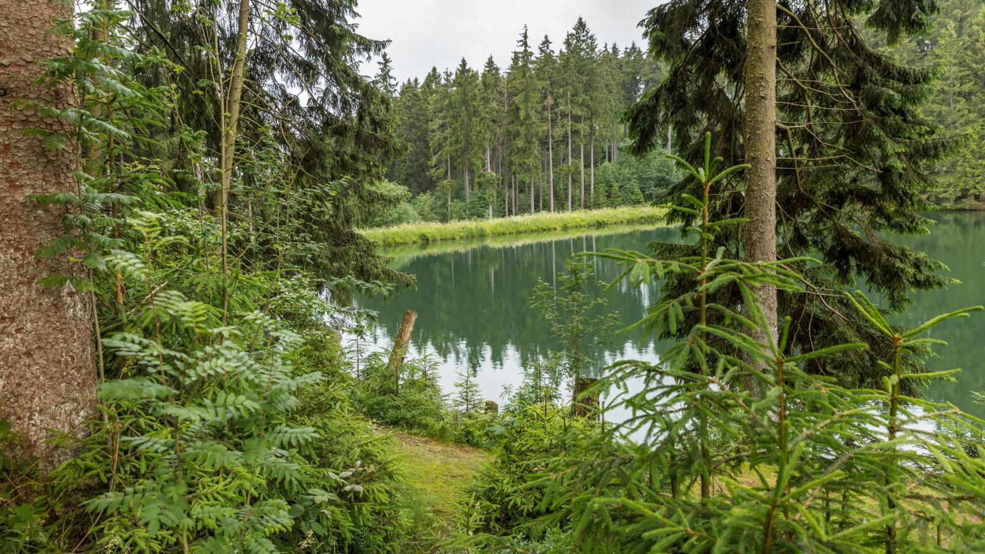Hotel Haus Am Hochwald Goslar Eksteriør bilde